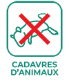 Cadavres d'animaux